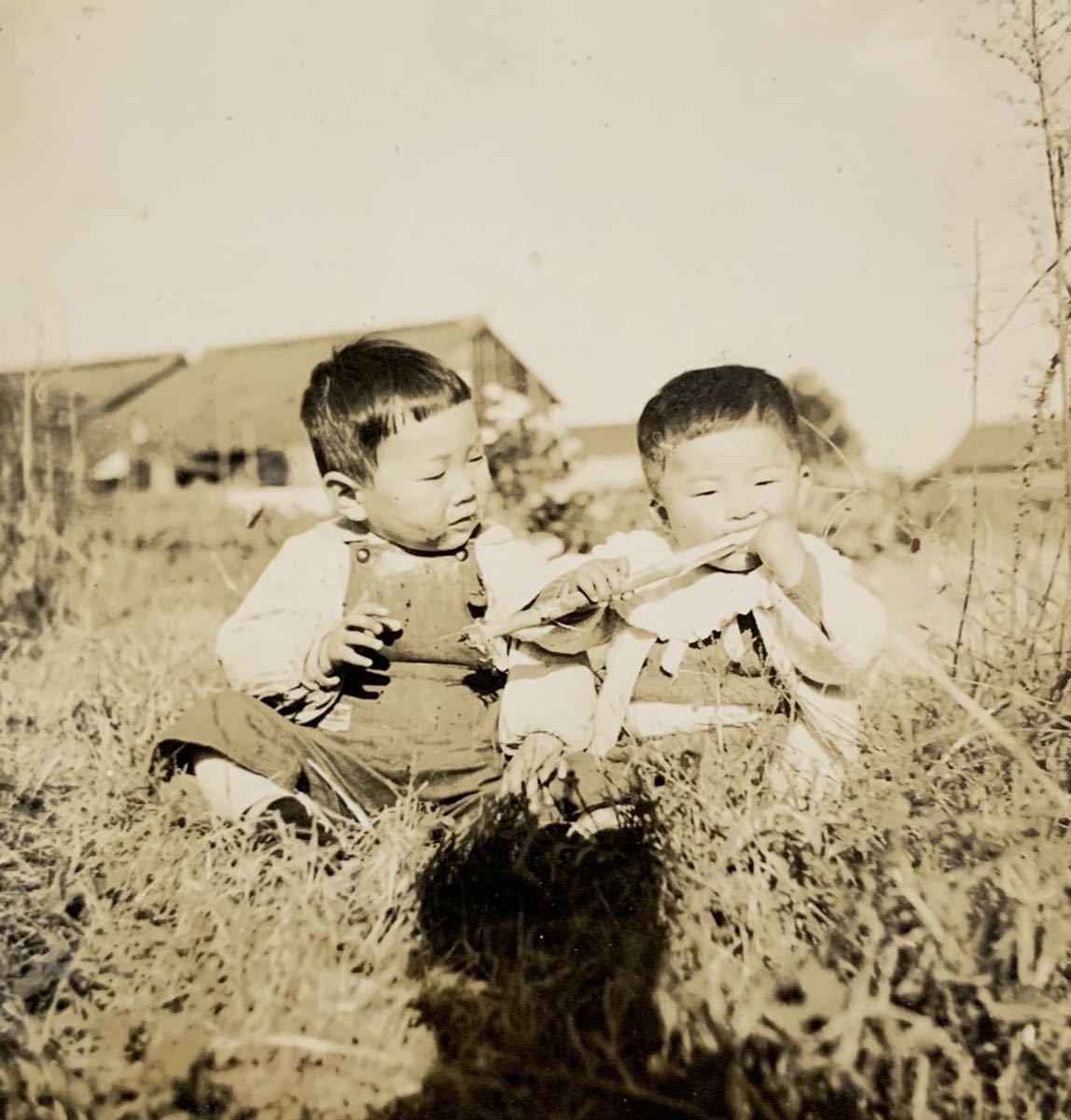 戦前 子供 古写真 8枚 赤ちゃん 少年 少女 美人 美女 美少女 昭和 家族 歴史 資料 大日本帝国 時代考証 白黒写真 古い写真 9 印刷物 売買されたオークション情報 Yahooの商品情報をアーカイブ公開 オークファン Aucfan Com
