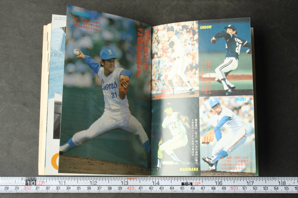 4890 日刊スポーツグラフ 特別号 全選手面白データ 