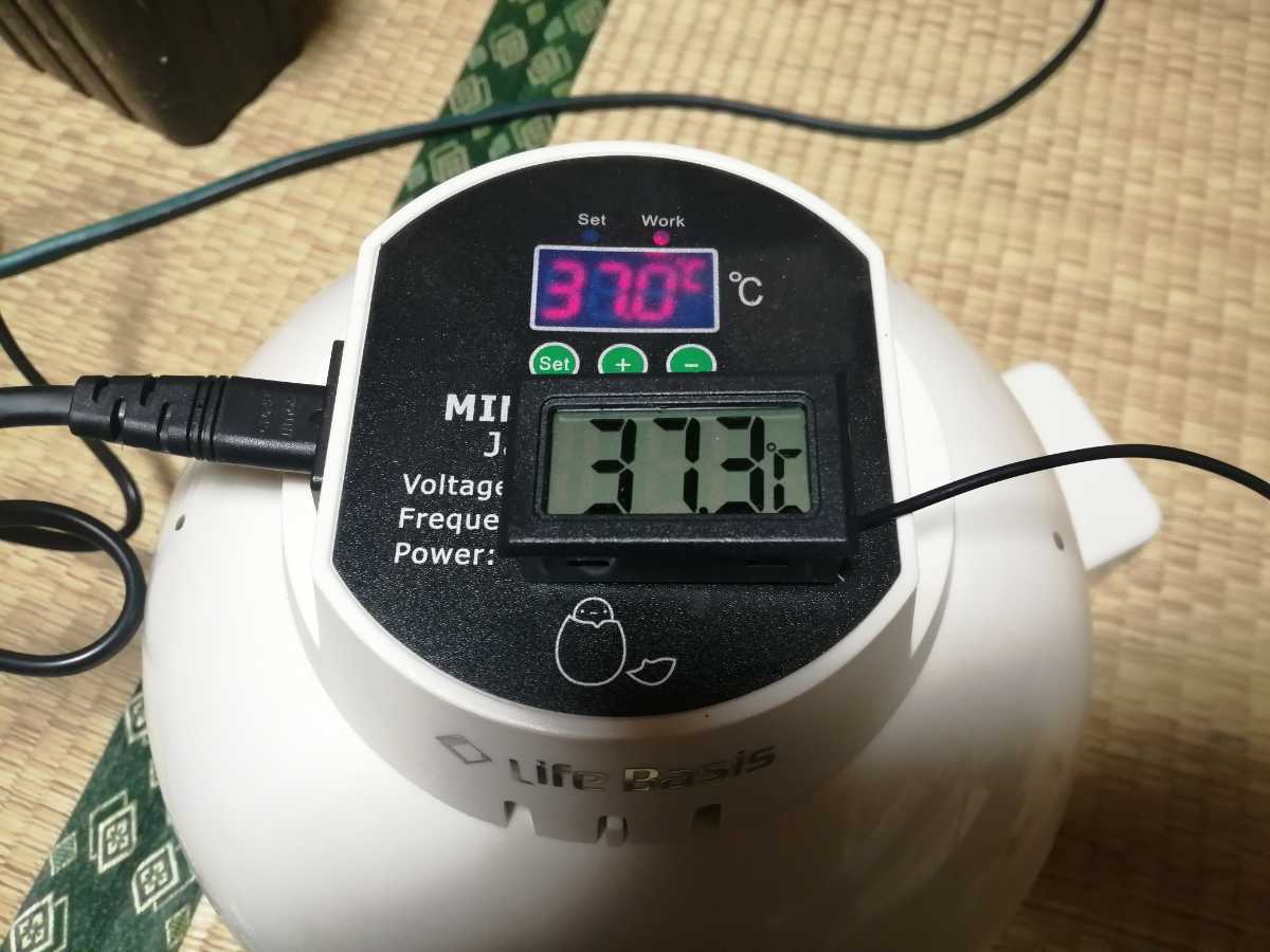 中古) 孵卵器 中古品リトルママデジタル自動孵卵器 孵卵器｜Yahoo