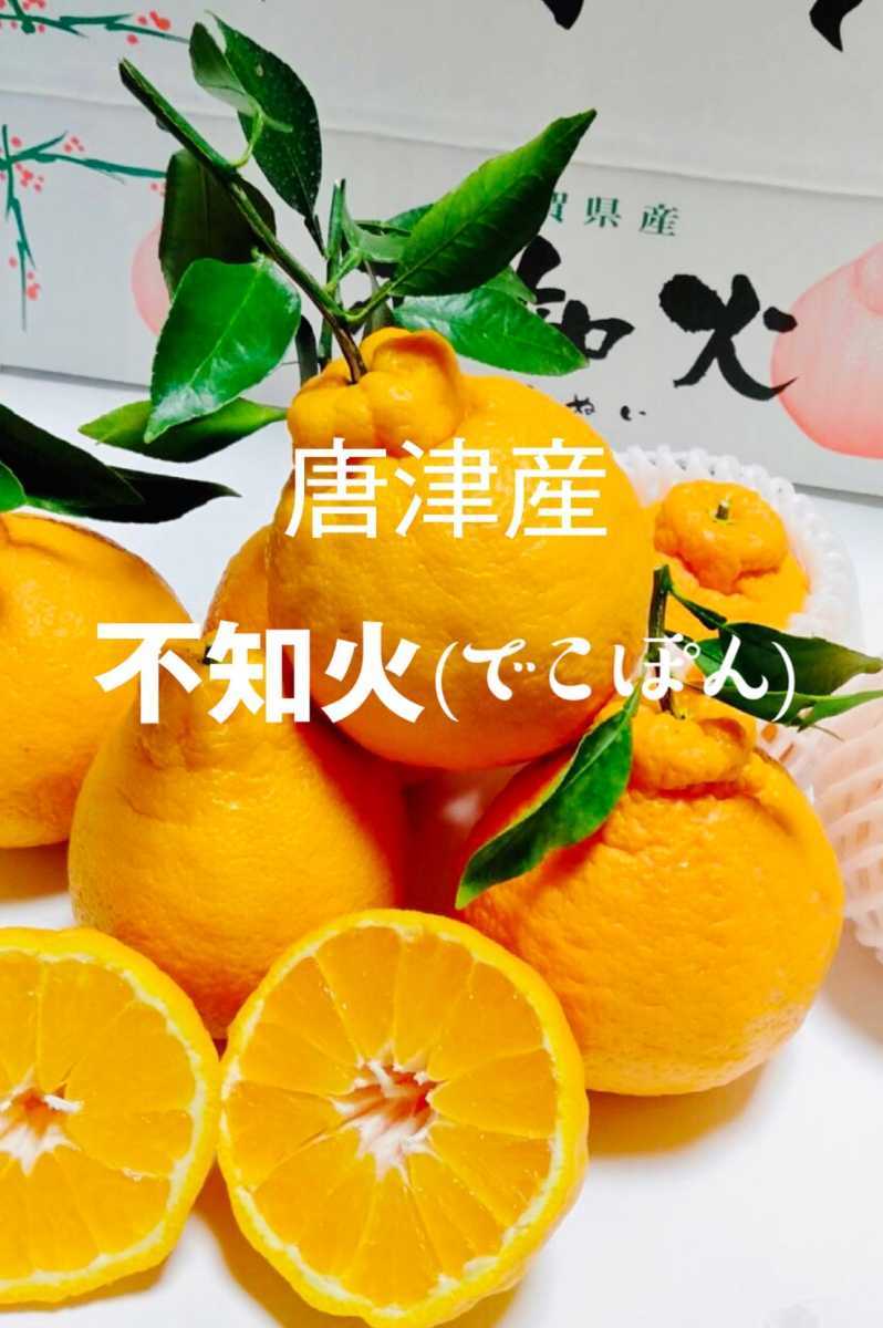 不知火 ☆しらぬい　デコポンと同品種 ハウス栽培　優品2Lサイズ15玉