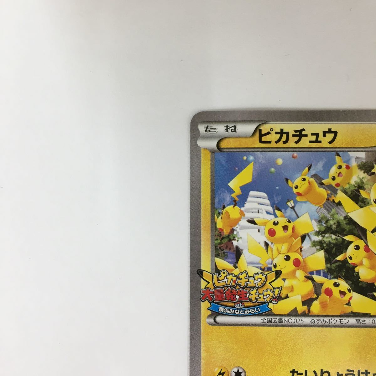ピカチュウ ポケモンカード 070 Xy P Www Cadmvregistrations Com