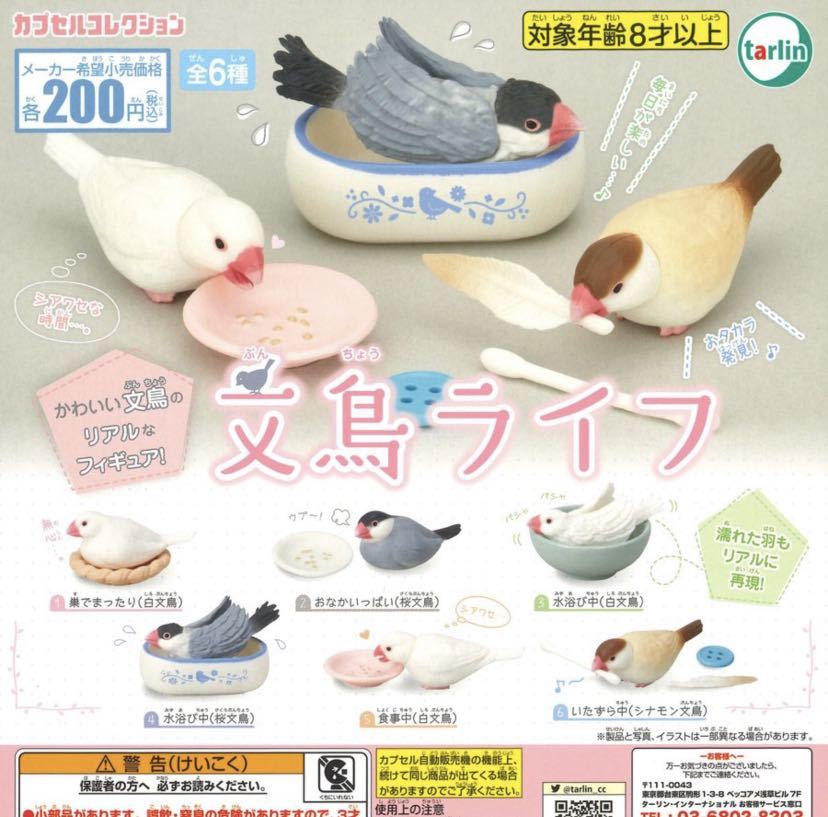 鳥ミニチュアフィギュア 文鳥ライフ ガチャガチャ ３ 水浴び中 白文鳥 生き物 売買されたオークション情報 Yahooの商品情報をアーカイブ公開 オークファン Aucfan Com
