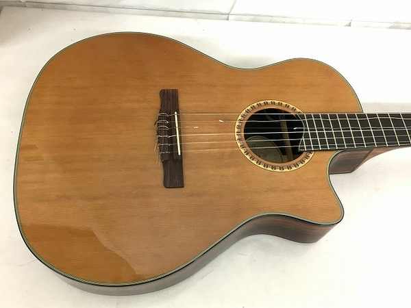 エレアコ アコースティックギター フェンダー Fender ハードケース付