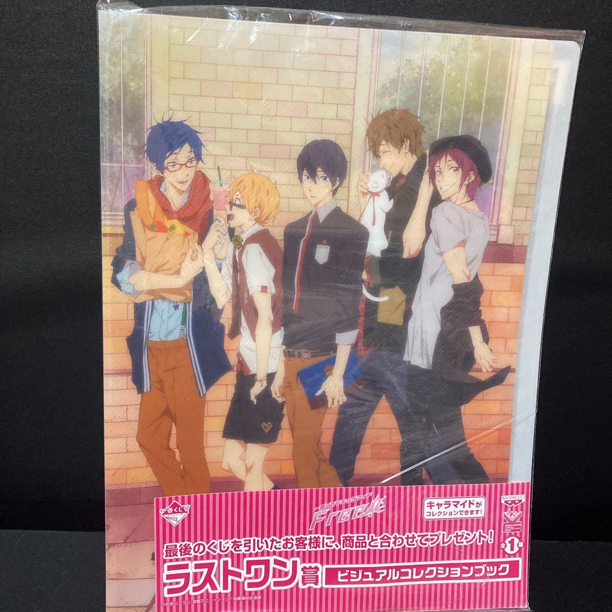 一番くじVキャラマイド Free! ラストワン賞 ビジュアルコレクション 
