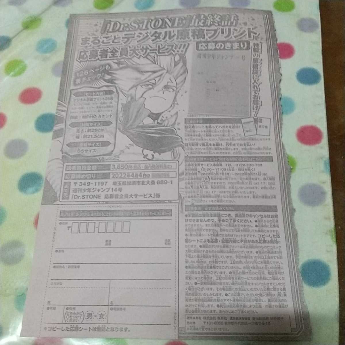 即決! 週刊少年ジャンプ 14号 最新号 「Dr STONE」 ドクターストーン