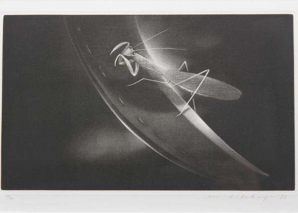 松本秀一「蟷螂Ⅰ」1993 47/50 メゾチント 本人注釈か？(銅版画