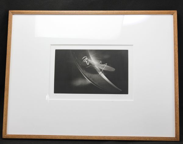 松本秀一「蟷螂Ⅰ」1993 47/50 メゾチント 本人注釈か？(銅版画