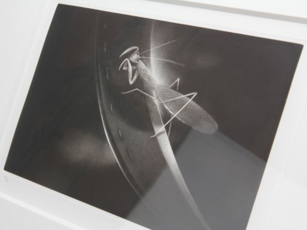 松本秀一「蟷螂Ⅰ」1993 47/50 メゾチント 本人注釈か？(銅版画
