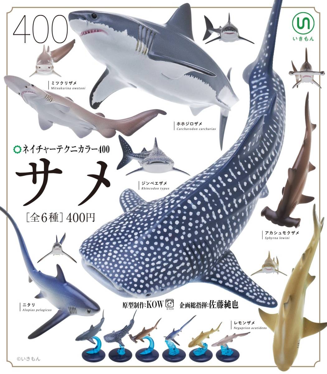 ネイチャーテクニカラー400 サメ 全6種 ホホジロザメ ジンベエザメ アカシュモクザメ ニタリ レモンザメ ミツクリザメ フィギュア ガチャ 生き物 売買されたオークション情報 Yahooの商品情報をアーカイブ公開 オークファン Aucfan Com ネイチャーテクニカラー400 サメ 全6種 ホホジロザメ ジンベエザメ アカシュモクザメ ニタリ レモンザメ ミツクリザメ フィギュア ガチャ 生き物 売買されたオークション情報 Yahooの商品情報をアーカイブ公開 オークファン Aucfan Com