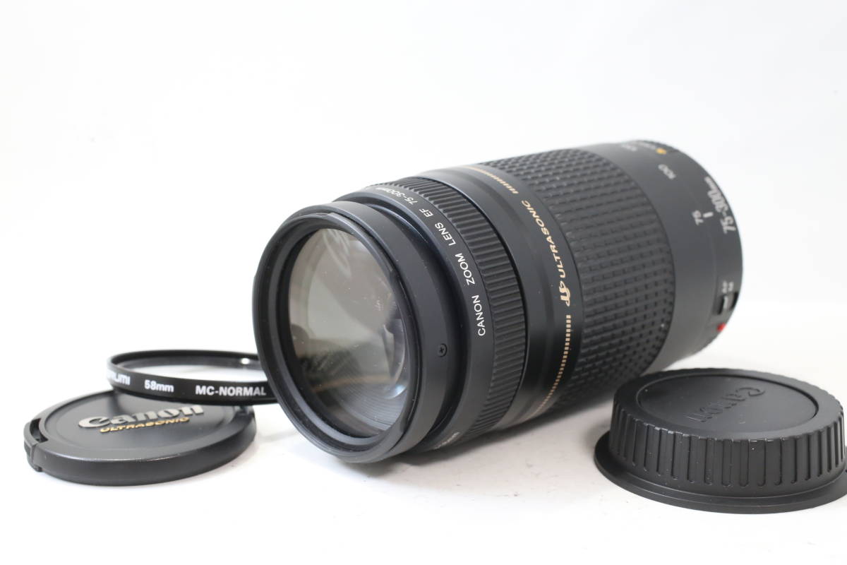 EF 75-300mm F4-5.6 キヤノン Canon USM CANON III - EF75-300mm II IS