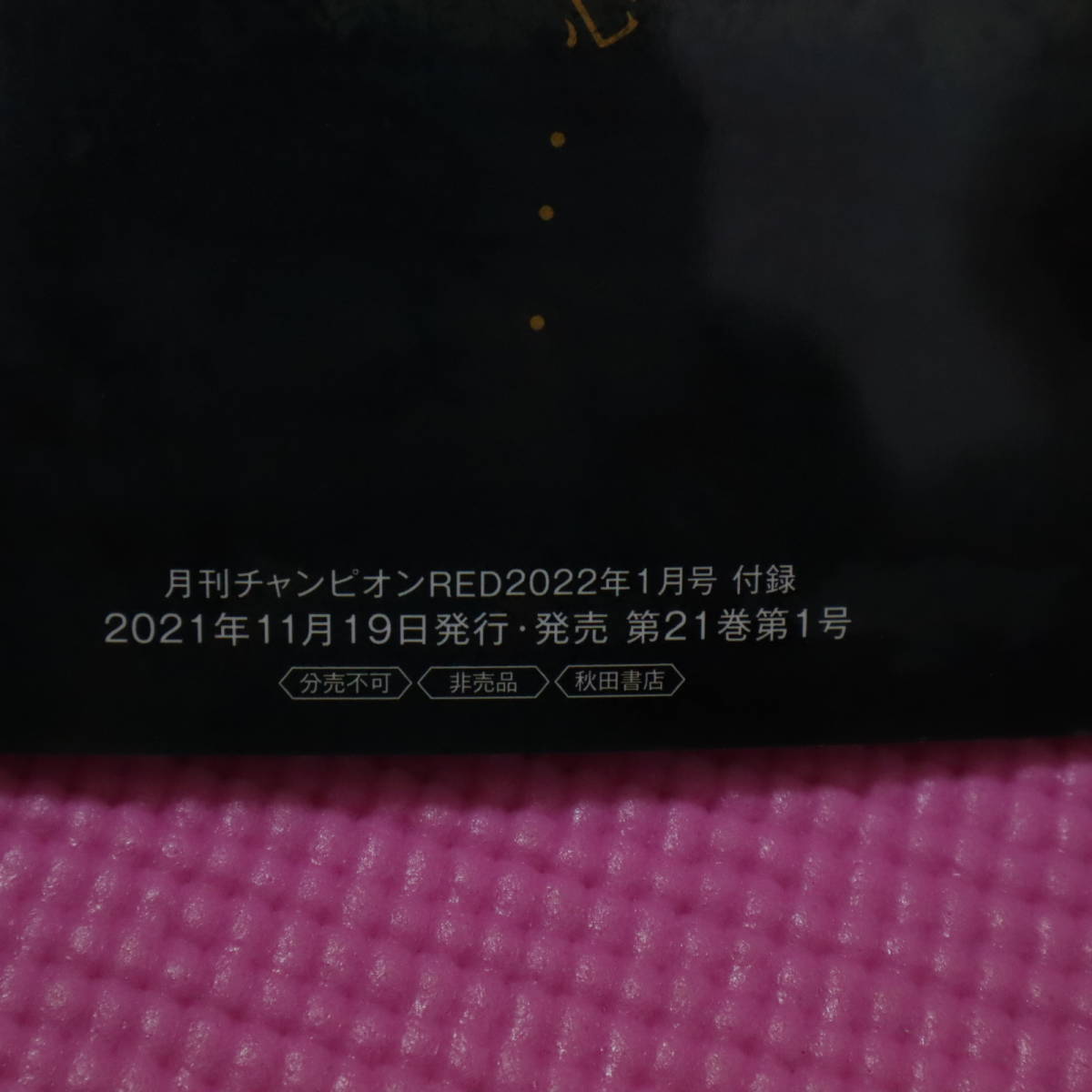未使用 月刊チャンピオンRED 2022年1月号 付録 古賀新一 魔女の囁き 未使用 月刊チャンピオンRED 2022年1月号 付録 古賀新一 魔女の囁き