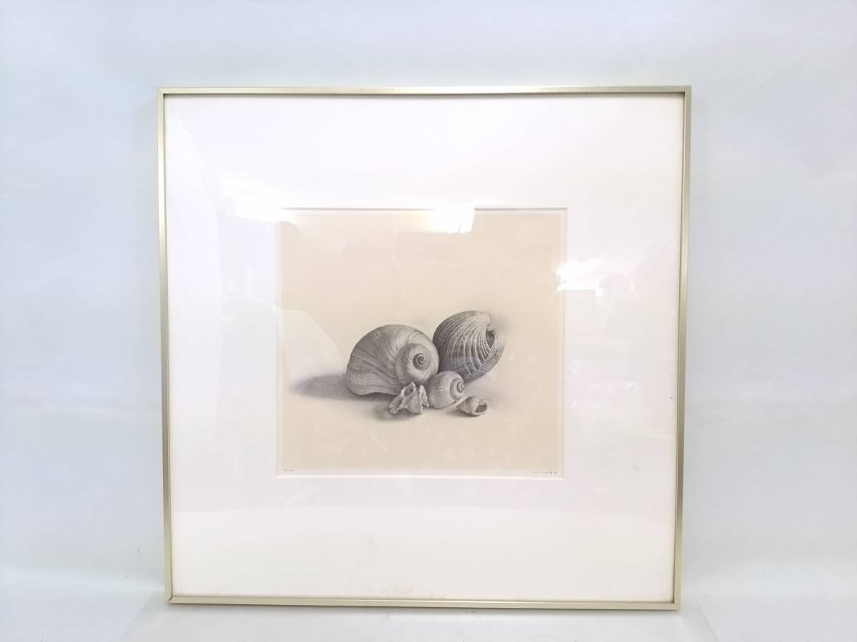 初だし】野田弘志版画「貝」リトグラフ エディションナンバー53/90