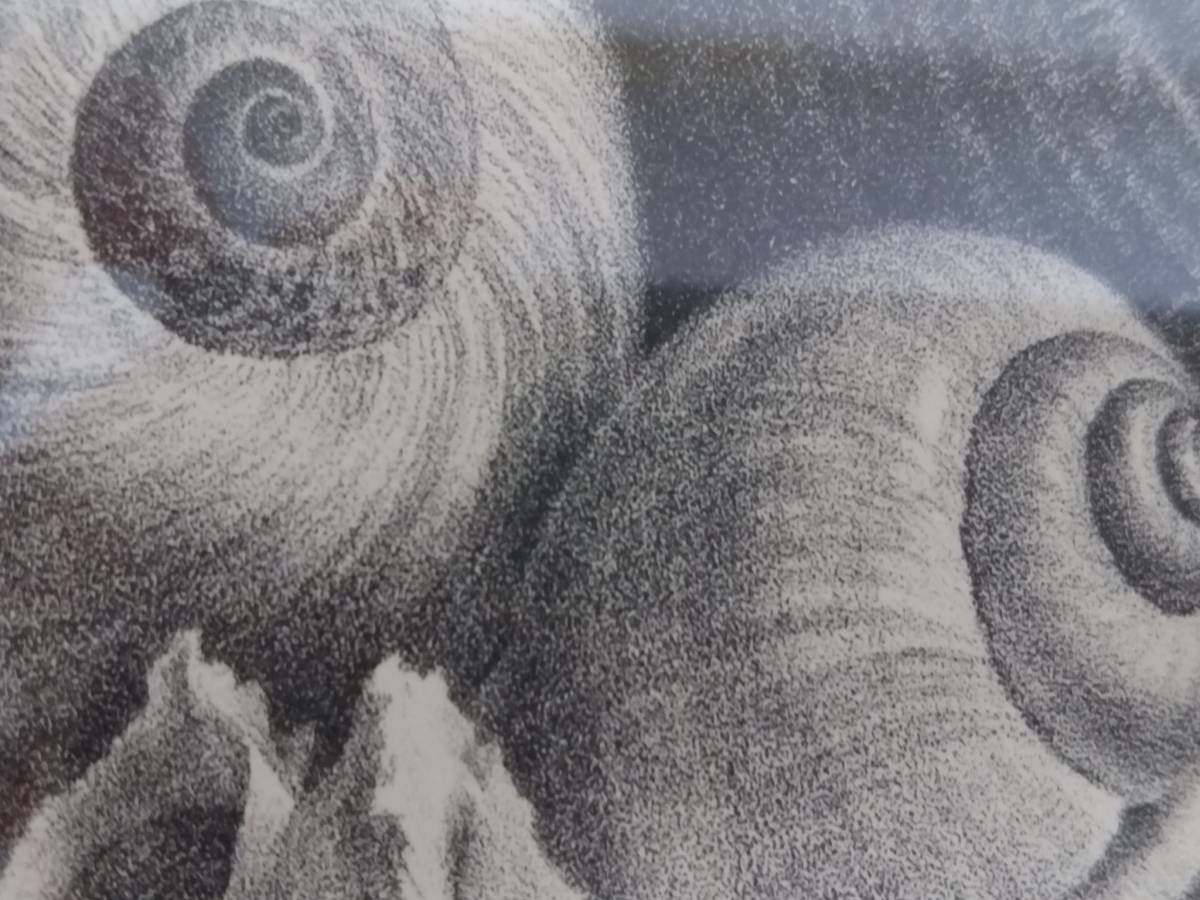 初だし】野田弘志版画「貝」リトグラフ エディションナンバー53/90