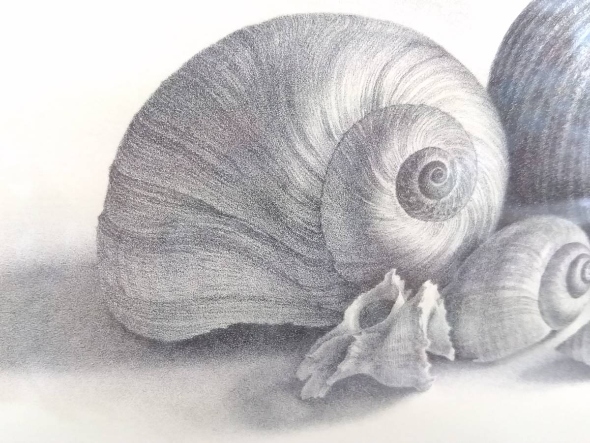 初だし】野田弘志版画「貝」リトグラフ エディションナンバー53/90