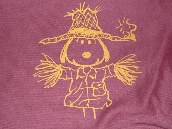 スヌーピー Champion リバースウィーブ USA製 Championチャンピオン - チャンピオン 80s Tシャツ 70s SNOOPY JOE COOL | L メルカリ