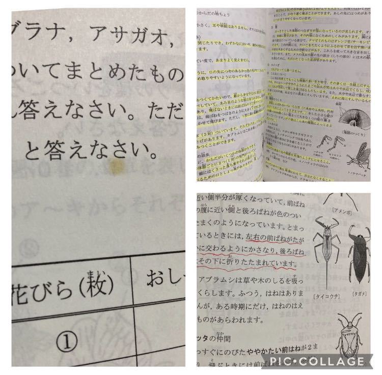 浜学園 小4 理科 サイエンス テキスト4冊 公開テスト 復習 浜学園 小4 理科 サイエンス テキスト4冊 公開テスト 復習