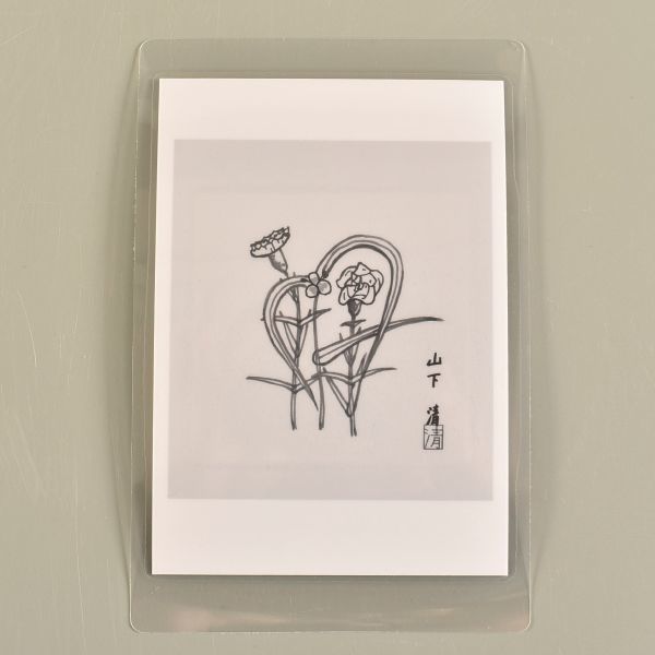 1258 山下清 カーネーション つゆ草 色ペン画 書載品 本物 ／本1冊付