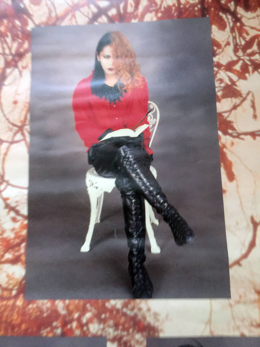 即決 レア 非売品 B2 オフィシャルポスター MALICE MIZER tetsu