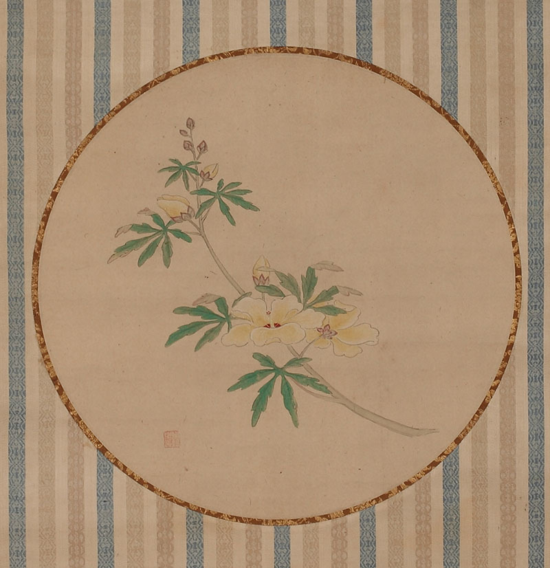 模写】狩野周信 黄蜀葵図団扇竪物 (狩野派 日本画 掛軸 木挽町 狩野家