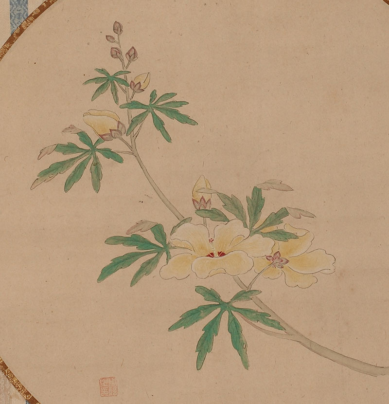 模写】狩野周信 黄蜀葵図団扇竪物 (狩野派 日本画 掛軸 木挽町 狩野家
