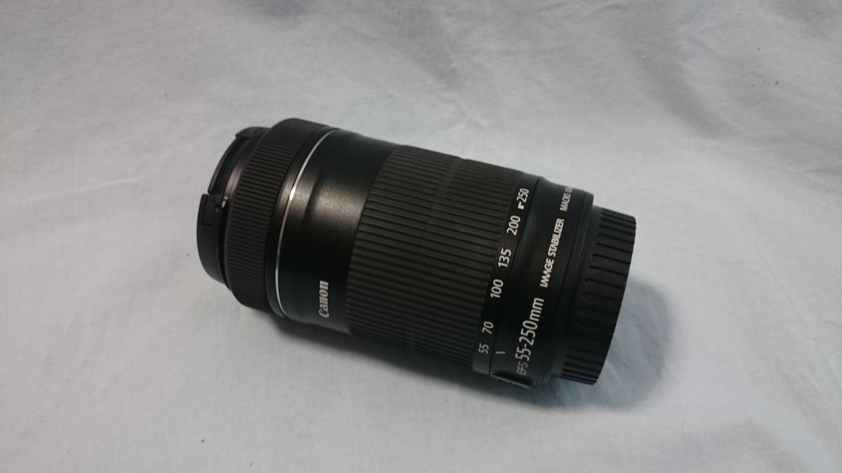 Canon EF-S 55-250mm f⁄4-5.6 IS STM Lens Review