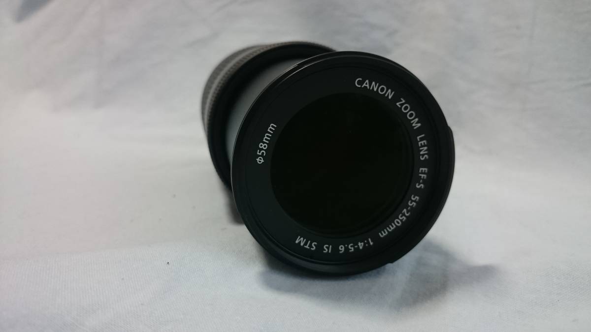 Canon EF-S 55-250mm f⁄4-5.6 IS STM Lens Review