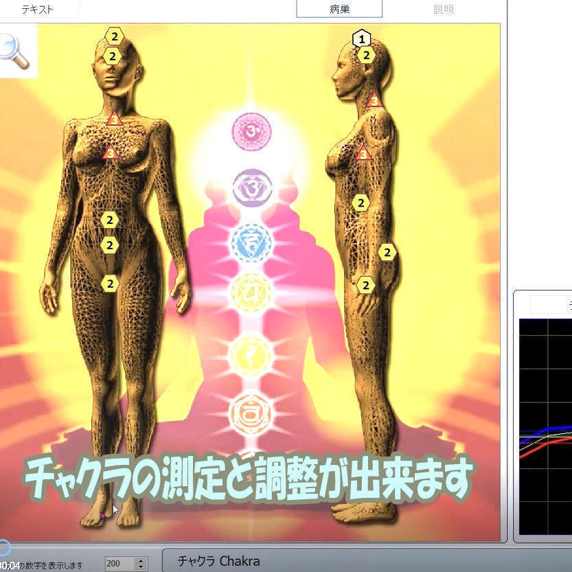波動測定器【PC付☆1年保証付】波動転写☆チャクラ調整☆波動セラピー 波動測定器（設定済みPC付!すぐに使えます）安心の1年間保障つき 波動