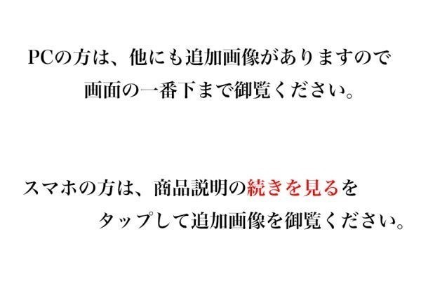 □山下清□油彩 肉筆『ナイヤガラ花火と見物人』表サイン 裏書(印譜