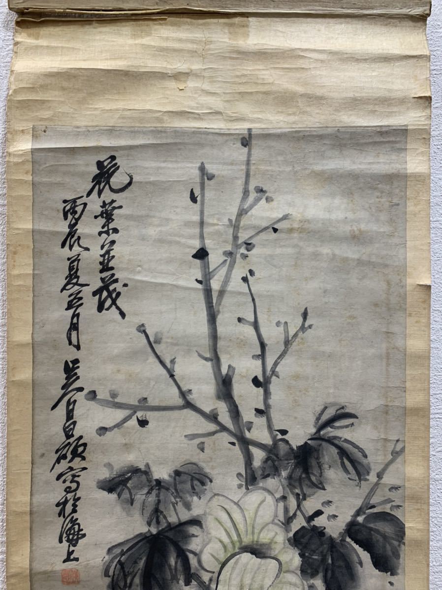 掛軸　山田帆丘　やまだはんきゅう　「富貴」 　共箱　真作　日本画　掛け軸　四季花 掛け軸 掛軸 共箱 日本画 真作 「富貴」 やまだはんきゅう 山田帆丘