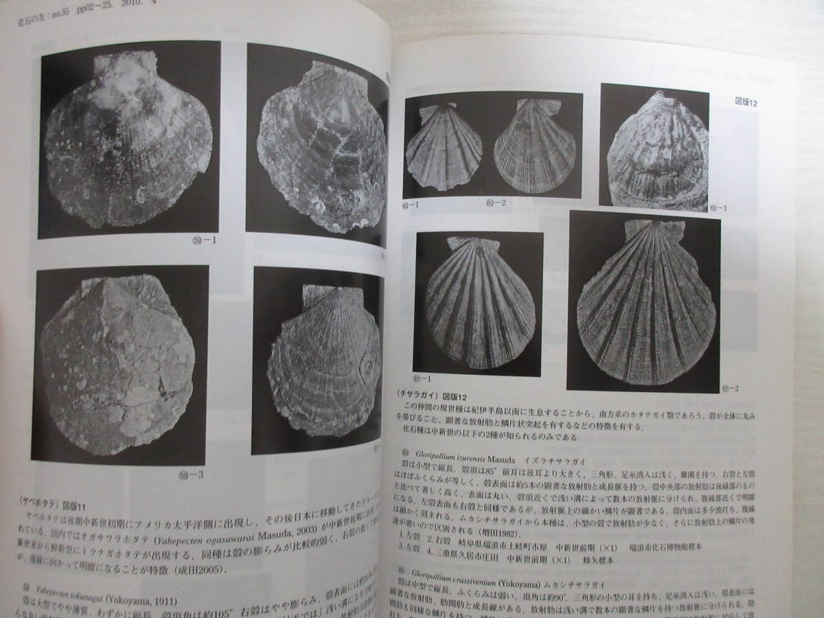 | 化石の友「福地の化石研究編」セット販売 : 恐竜研究の未来:化石から見えること、見えないこと 化石の友No.49,50販売 研究会の出版物 🦕化石のマーケット🦕 東海地区化石発掘体験には瑞浪市化石博物館がおすすめな理由を 地元愛知で eco 少年よ「大石」を抱け 岩石・鉱物・化石 小さな石から世界は広がる――『学研の図鑑LIVE 東海大学自然史博物館研究業績｜東海大学海洋学部博物館｜静岡 新装版 note