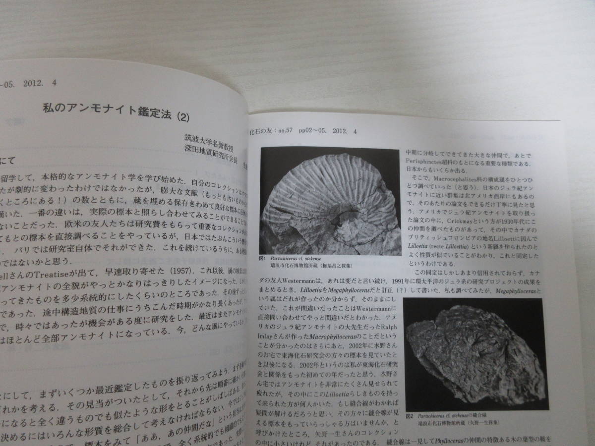 | 化石の友「福地の化石研究編」セット販売 : 恐竜研究の未来:化石から見えること、見えないこと 化石の友No.49,50販売 研究会の出版物 🦕化石のマーケット🦕 東海地区化石発掘体験には瑞浪市化石博物館がおすすめな理由を 地元愛知で eco 少年よ「大石」を抱け 岩石・鉱物・化石 小さな石から世界は広がる――『学研の図鑑LIVE 東海大学自然史博物館研究業績｜東海大学海洋学部博物館｜静岡 新装版 note