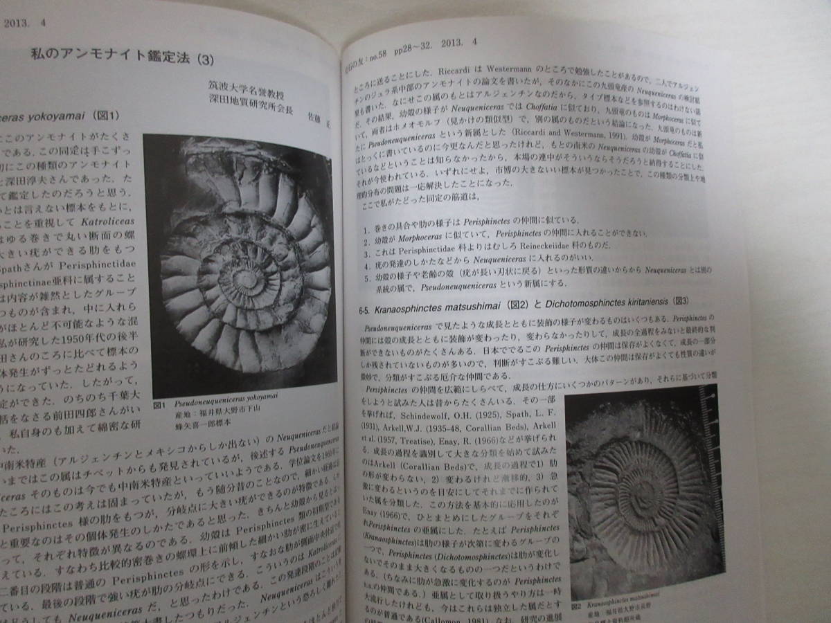 | 化石の友「福地の化石研究編」セット販売 : 恐竜研究の未来:化石から見えること、見えないこと 化石の友No.49,50販売 研究会の出版物 🦕化石のマーケット🦕 東海地区化石発掘体験には瑞浪市化石博物館がおすすめな理由を 地元愛知で eco 少年よ「大石」を抱け 岩石・鉱物・化石 小さな石から世界は広がる――『学研の図鑑LIVE 東海大学自然史博物館研究業績｜東海大学海洋学部博物館｜静岡 新装版 note