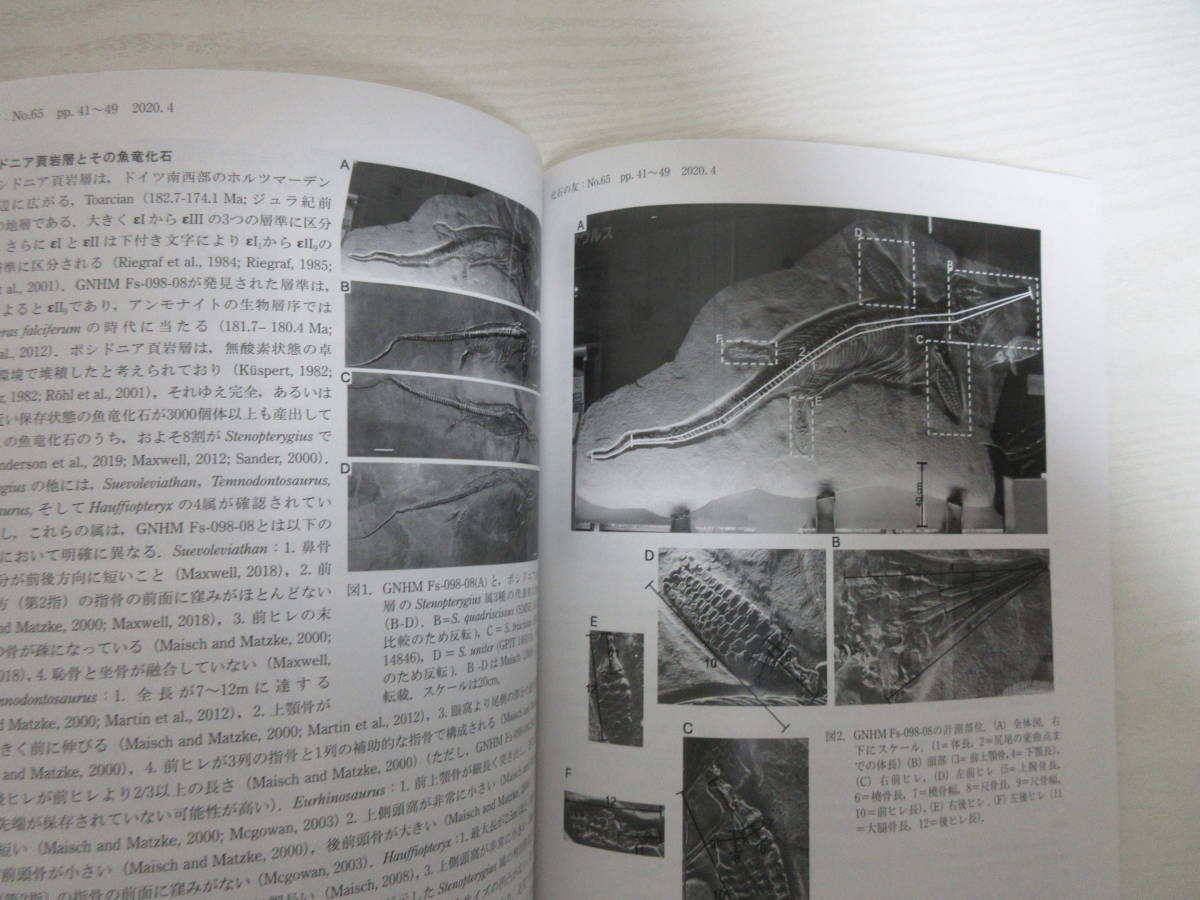 | 化石の友「福地の化石研究編」セット販売 : 恐竜研究の未来:化石から見えること、見えないこと 化石の友No.49,50販売 研究会の出版物 🦕化石のマーケット🦕 東海地区化石発掘体験には瑞浪市化石博物館がおすすめな理由を 地元愛知で eco 少年よ「大石」を抱け 岩石・鉱物・化石 小さな石から世界は広がる――『学研の図鑑LIVE 東海大学自然史博物館研究業績｜東海大学海洋学部博物館｜静岡 新装版 note