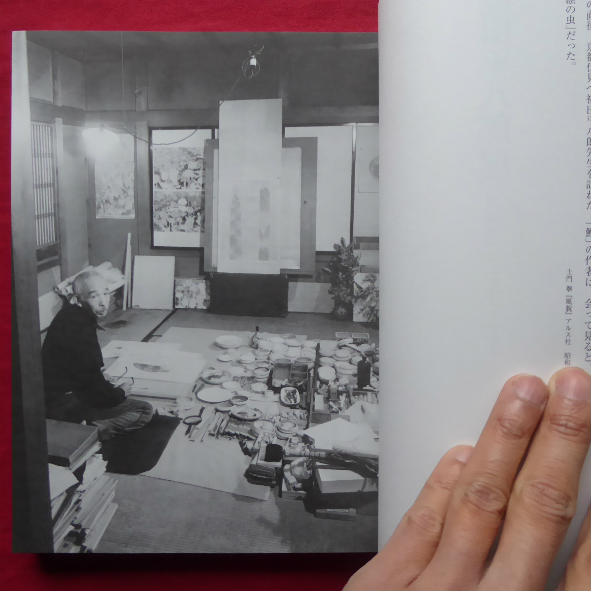 a3図録【福田平八郎展/平成19年・京都国立近代美術館ほか】資料（下図 