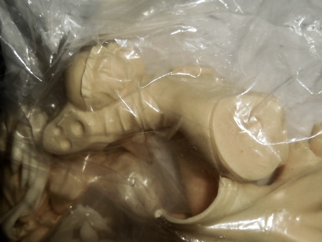 内袋未開封 イベント品 トレフェス T 