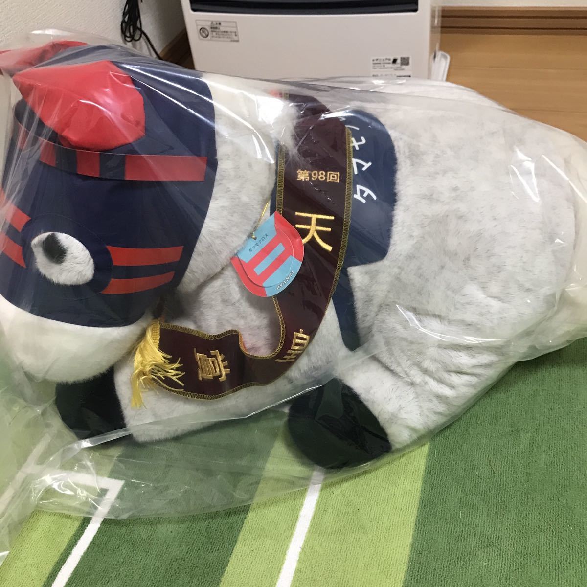 アバンティ　タップダンスシチー　2L ぬいぐるみ タマモクロス2Lぬいぐるみ＋sサイズタップダンスシチーぬいぐるみ＋