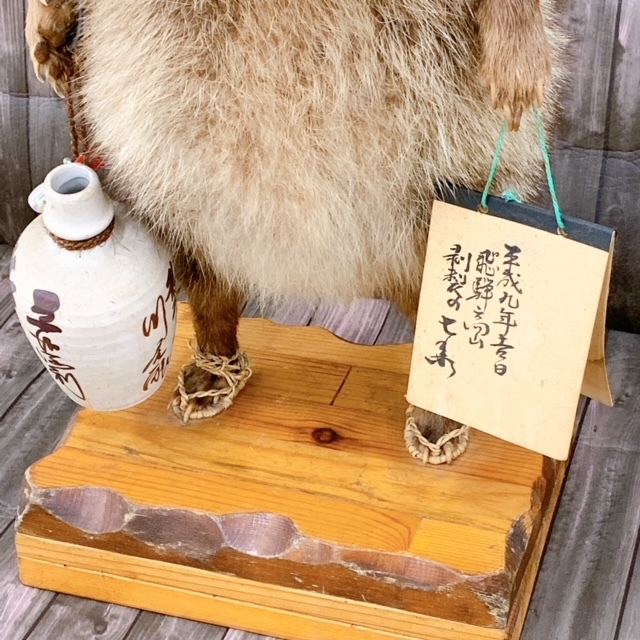 昭和レトロ タヌキ 剥製 ディスプレイ インテリア 看板 置物 古民家 古道具 昭和レトロ タヌキ 剥製 ディスプレイ インテリア 看板 置物 古民家