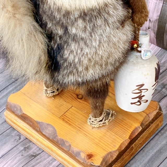 タヌキ 剥製 インテリア 狸 たぬき 飛騨高山 縁起物 置物 現状品 高さ