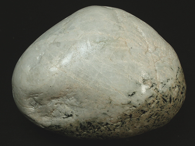 v1061900390.1