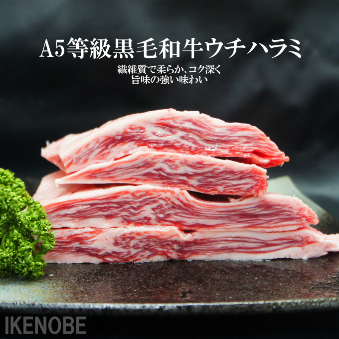 数量限定 黒毛和牛A5等級ウチハラミバラ部位600g冷凍 希少部位 松阪 黒毛和牛 国産牛 輸入牛 サーロイン カルビ