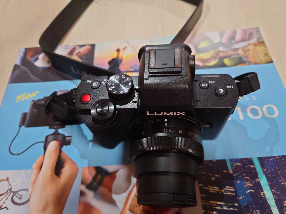 LUMIX | Panasonic パナソニック ミラーレス一眼カメラ DC-G100V 