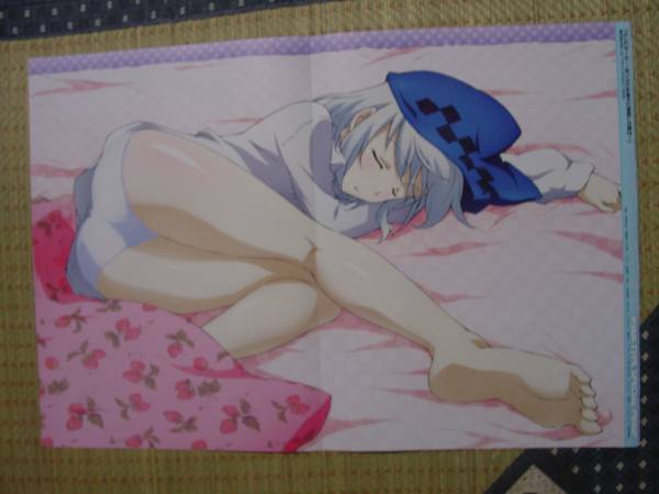 アクセル・ワールド(黒雪姫 倉崎楓子 水着)、カンピオーネ!～まつろわ