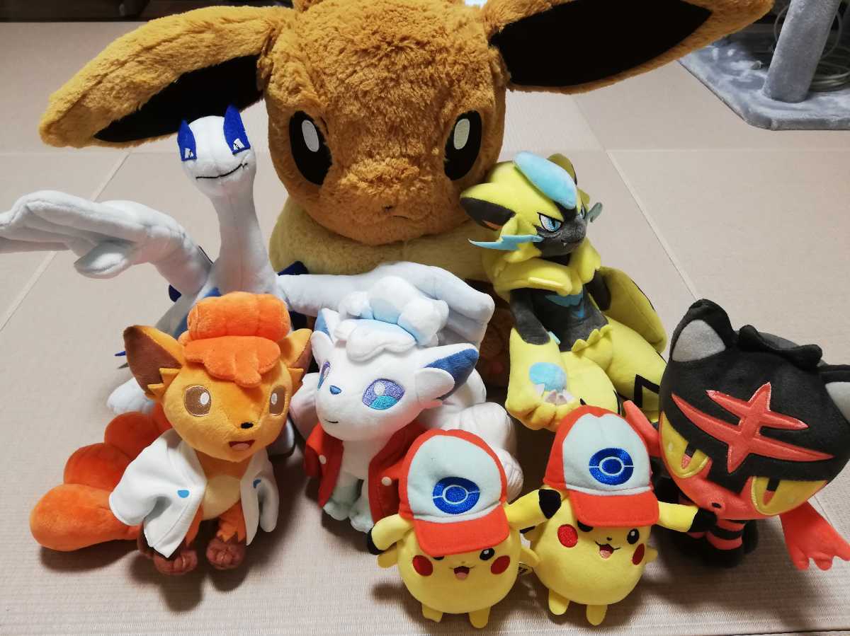 定番，品質保証 ポケモンぬいぐるみ まとめてセット(ポケットモンスター)｜売買されたオークション情報、yahooの商品情報をアーカイブ公開 - オークファン ポケットモンスター