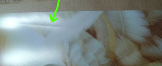 永井豪 デビルマン劇場版 ポスター シレーヌ冨永愛 Sf ファンタジー 売買されたオークション情報 Yahooの商品情報をアーカイブ公開 オークファン Aucfan Com