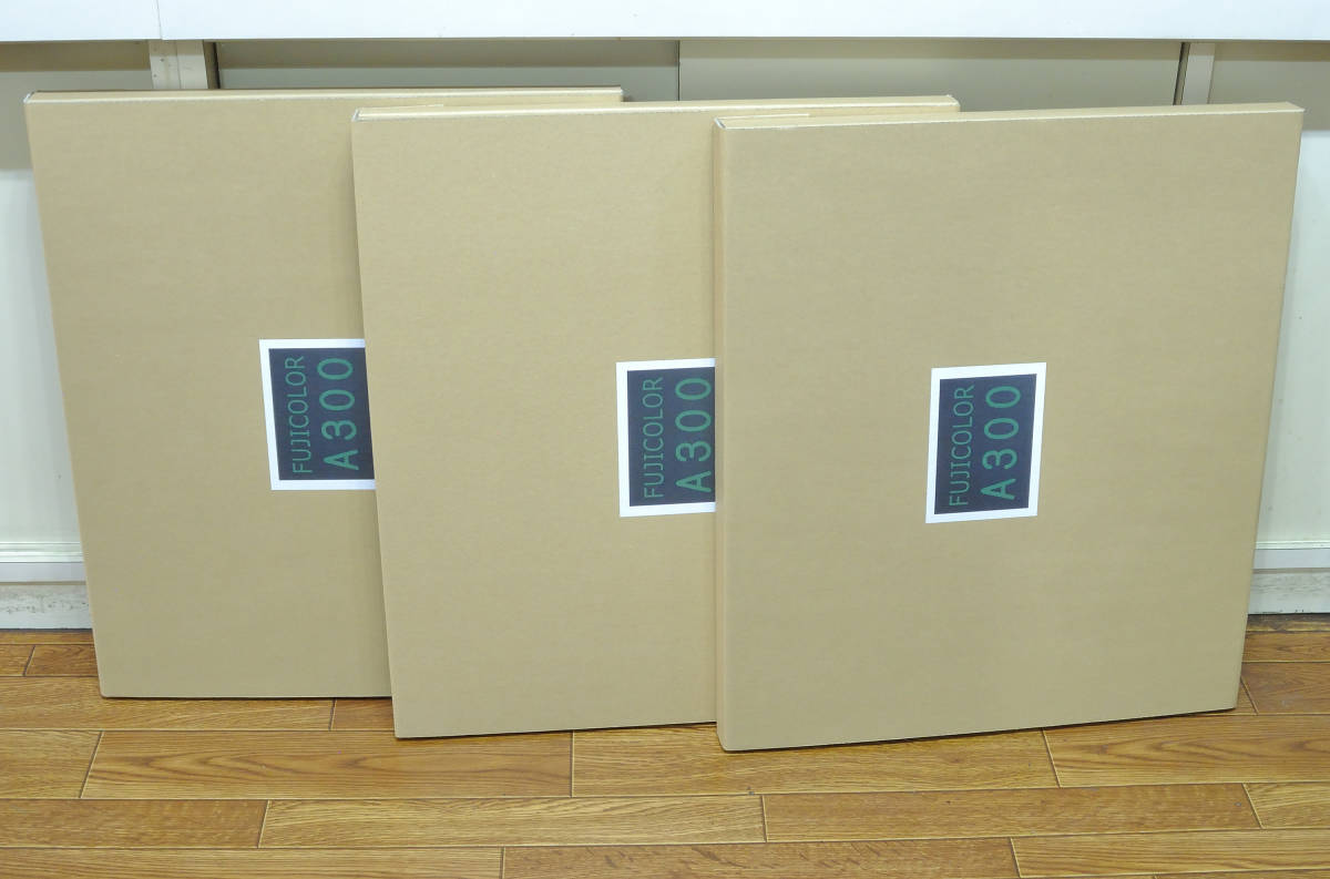 写真用 アルミ額縁A300 6切 5枚セット 写真用 アルミ額縁A300 6