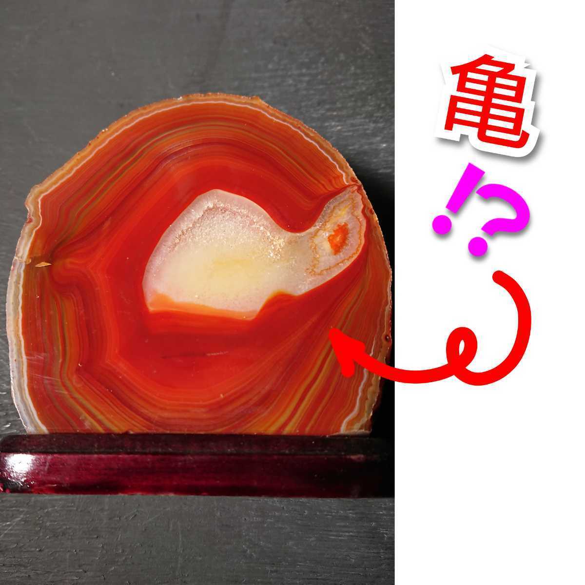 瑪瑙 断面 天然石【総重量1022g】鉱物標本 輪切り 原石 鑑賞石 飾り石