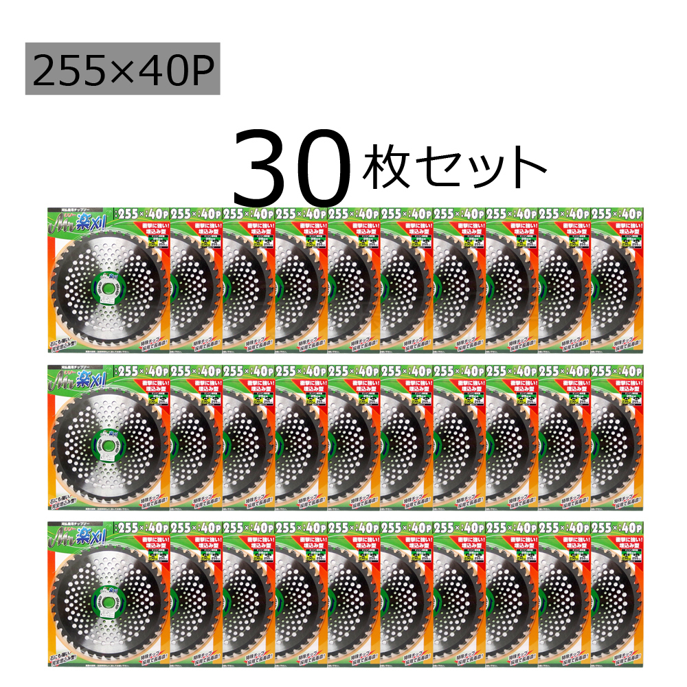 か*こ様 ココスヤシシルバーリーフ【極太】葉先170cm幹回り75cm 幹高25
