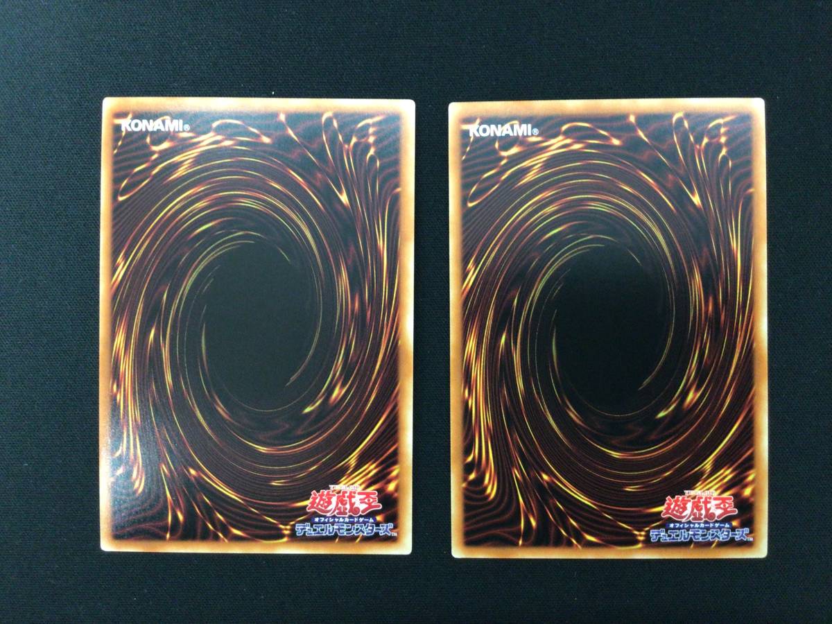 遊戯王 暗影の闇霊使いダルク 照耀の光霊使いライナ : 遊戯王カード 霊
