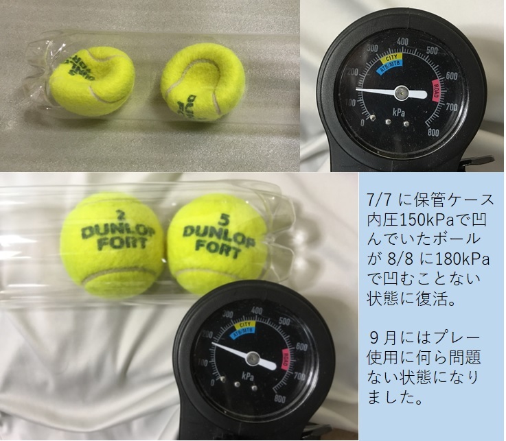 エアゲージなし☆硬式テニスボール再生保管ケース(径75mm)☆ボールの