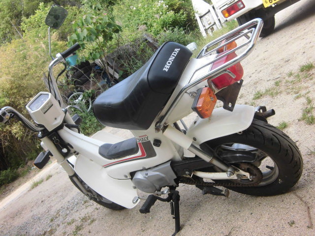 ホンダ シャリー50 12v仕様 通勤、通学、レジャー モンキー、エイプ